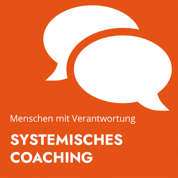 Systemische Beratung: Coaching